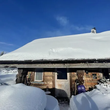 Chalet En Rondins De Bois *